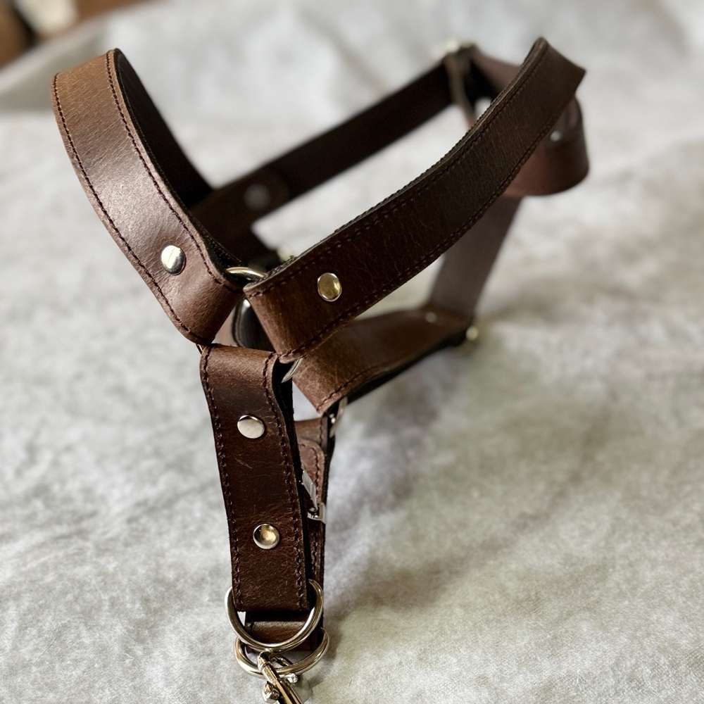 These are pet accessories. 100% genuine leather collars and harnesses.